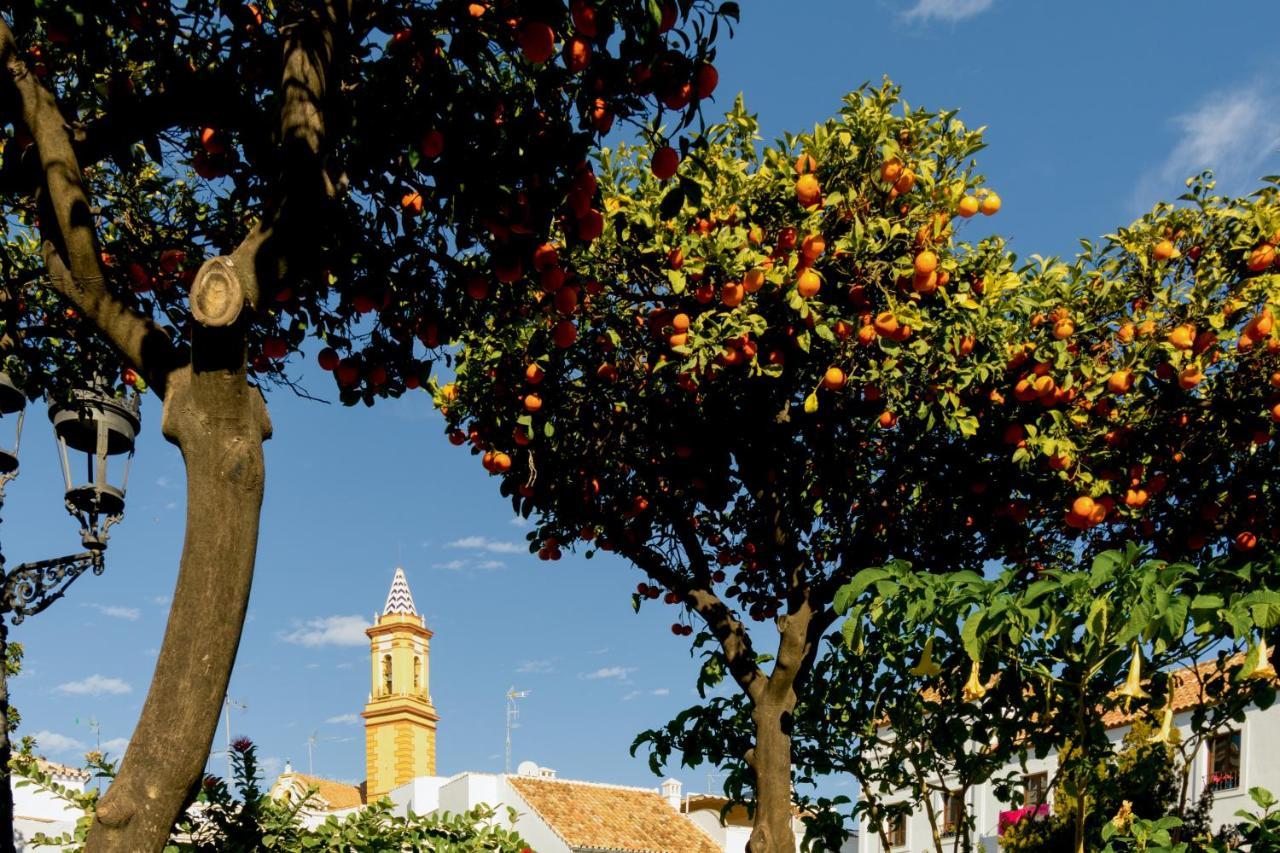 Casa Azul - Boutique Apartments By Casa Del Patio (Adults Only) Estepona Bagian luar foto